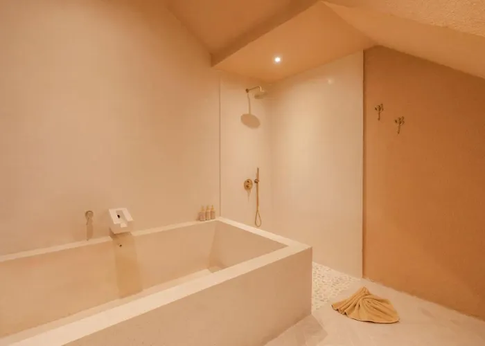 Mexican Design With Pool And Rooftop Villa